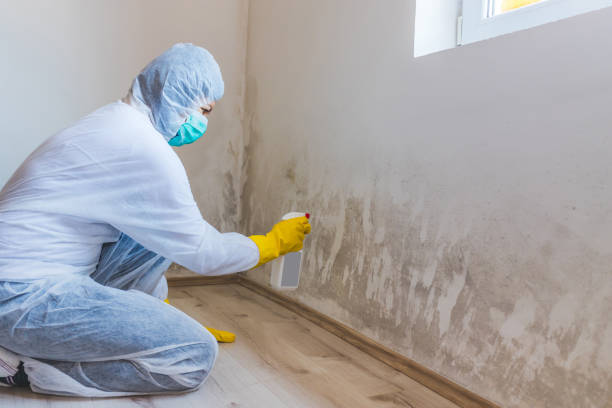Licensed Mold Remediation service in Odessa, TX - WQB Mold Removal