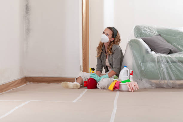 Reliable Mold Remediation contractor in Odessa, TX by WQB Mold Removal